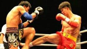 散打网络新闻爆料,网络爆料揭示行业内幕 第1张 散打网络新闻爆料,网络爆料揭示行业内幕 第1张