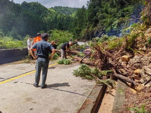 韶关乐昌爆料事件最新消息,最新进展及影响揭秘